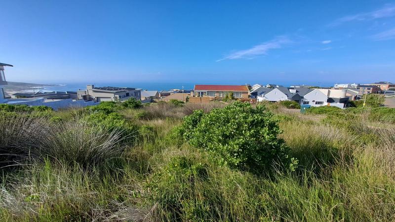 0 Bedroom Property for Sale in Jongensfontein Western Cape